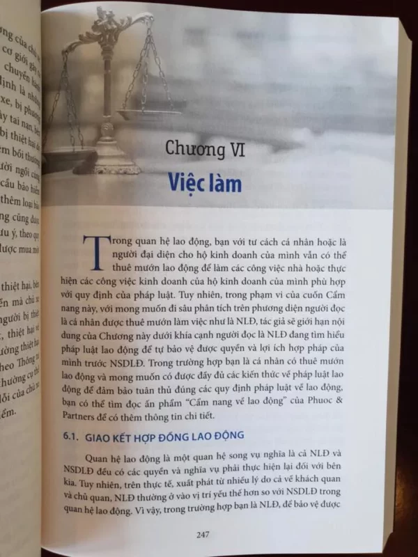 Cẩm nang pháp luật cá nhân và gia đình - Hình ảnh 8