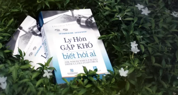 Ly hôn gặp khó biết hỏi ai - Image 2