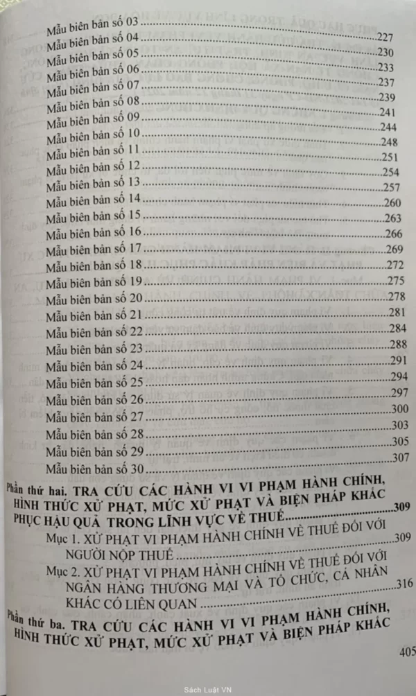 Quy Định Chi Tiết Và Biện Pháp Thi Hành Luật Xử Lý Vi Phạm Hành Chính - Hình ảnh 5