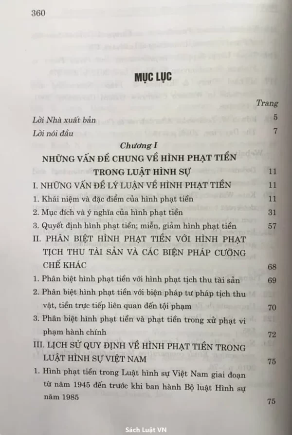 Hình phạt tiền trong pháp luật hình sự Việt Nam và thực tiễn áp dụng - Hình ảnh 2