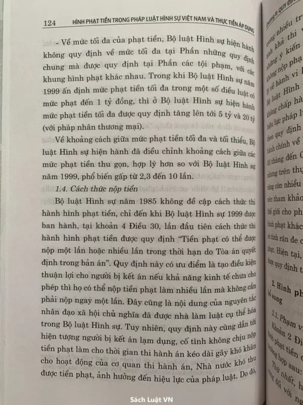 Hình phạt tiền trong pháp luật hình sự Việt Nam và thực tiễn áp dụng - Hình ảnh 14