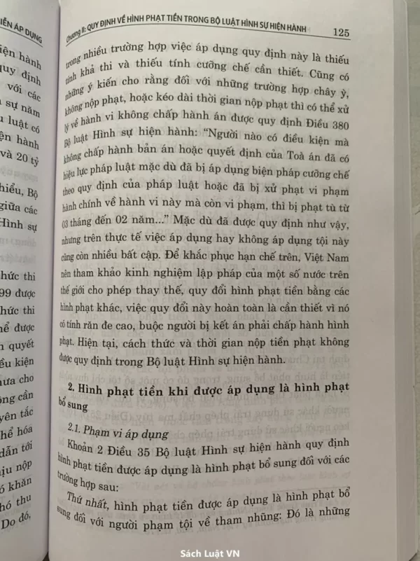 Hình phạt tiền trong pháp luật hình sự Việt Nam và thực tiễn áp dụng - Hình ảnh 15