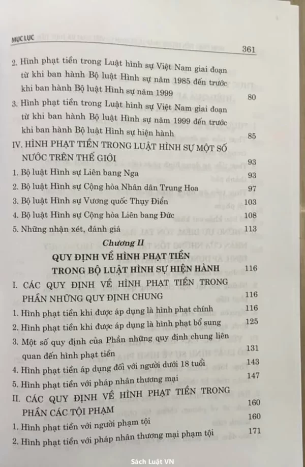 Hình phạt tiền trong pháp luật hình sự Việt Nam và thực tiễn áp dụng - Hình ảnh 3