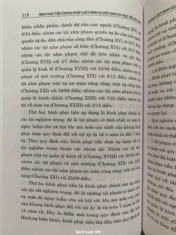 Hình phạt tiền trong pháp luật hình sự Việt Nam và thực tiễn áp dụng - Hình ảnh 8