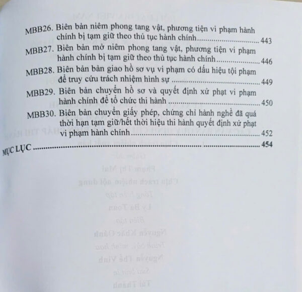 Luật Xử Lý Vi Phạm Hành Chính (sửa đổi, bổ sung năm 2025) các văn bản quy định chi tiết và biện pháp thi hành - Hình ảnh 12